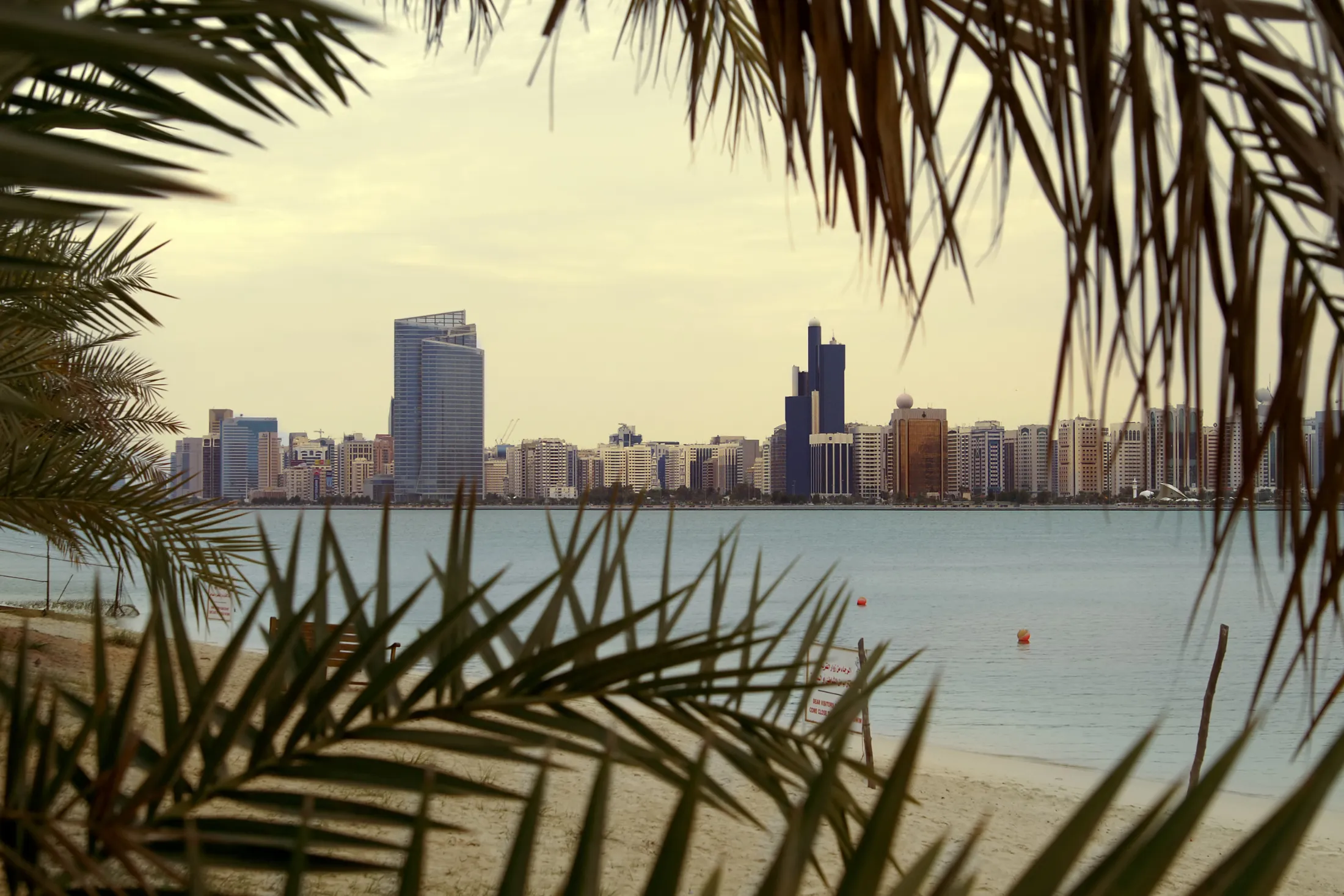 A beach seen through palm leaves in Abu Dhabi.