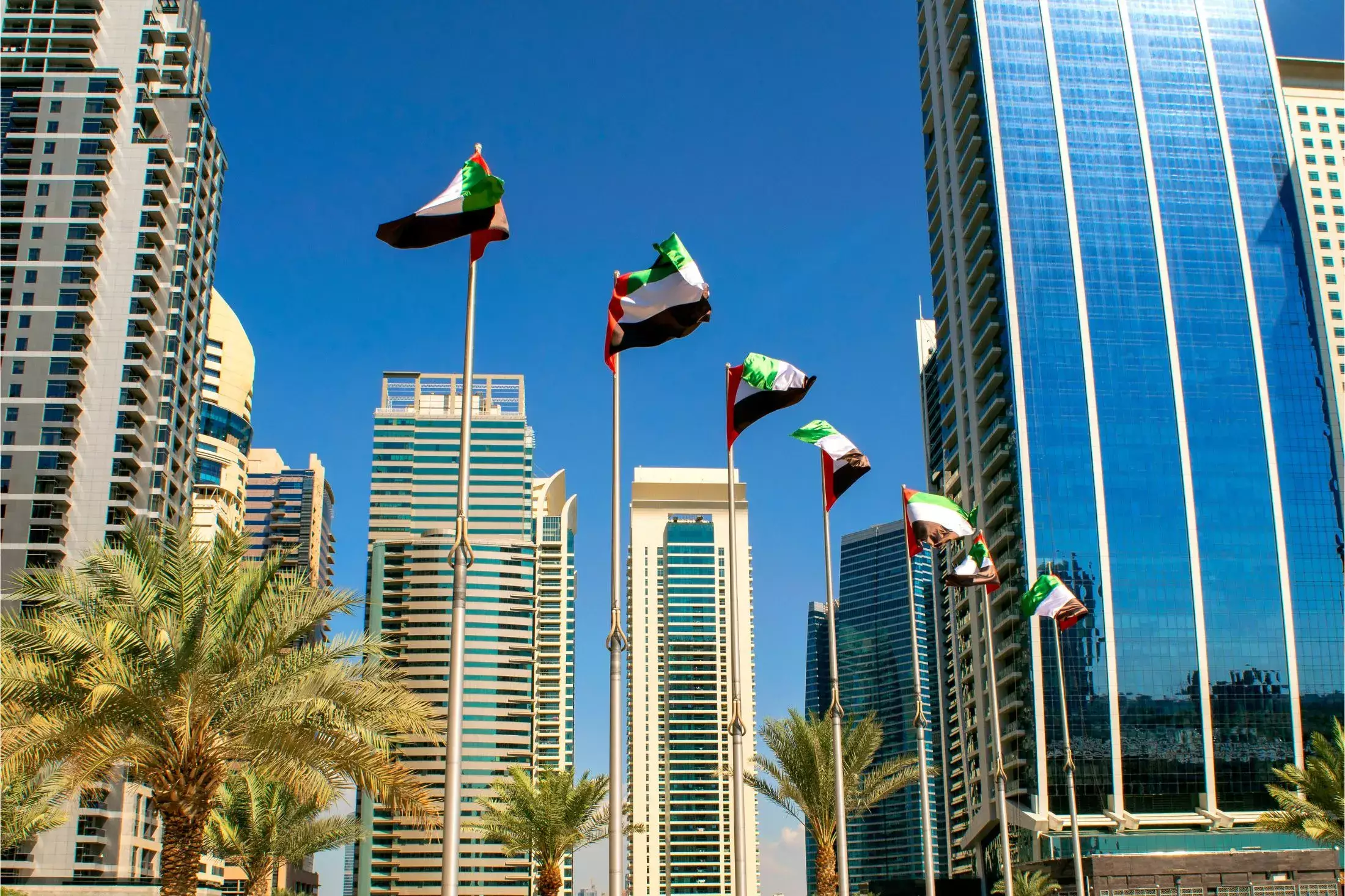 UAE National Day Flags
