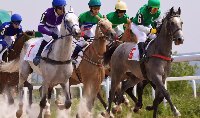 Horse Race at the Equastrian Club