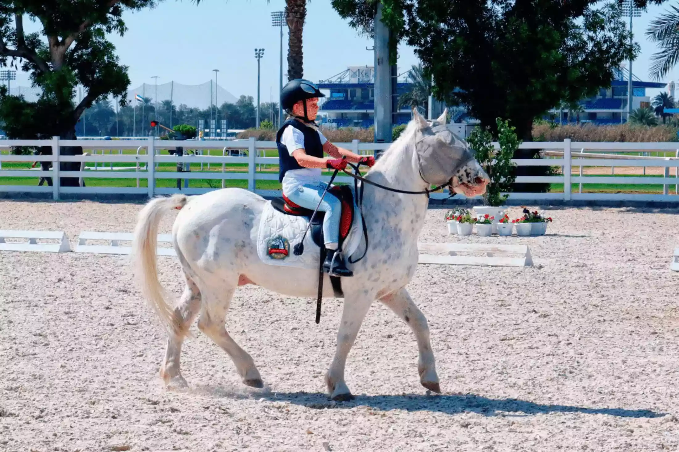 Horse Riding School, source: Abu Dhabi Equastrian Club