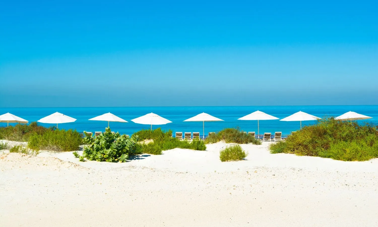 A beach in the Saadiyat National Park.