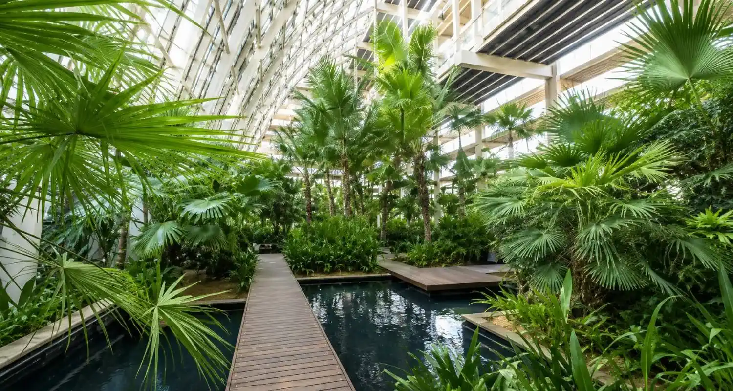 Inside the Shade House with tropical plants at Umm Al Emarat Park in Abu Dhabi